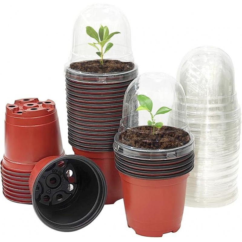 Baby Nursery Plants - กระถางปลูกต้นไม้พร้อมกระถางเด็กอ่อนทรงโดมความชื้น เมล็ดคุณภาพสูง เริ่มต้นจากฝาปิด